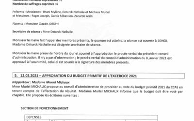 12/03/2021-Délibération-budget-primitif-2021