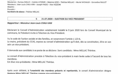 Election-vice-président 21/07/2020