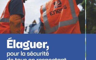 L’élagage autour des réseaux électriques est une action essentielle, à la croisée de plusieurs enjeux