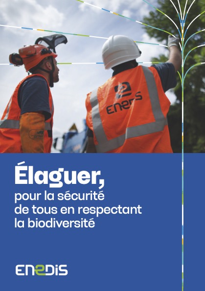 L’élagage autour des réseaux électriques est une action essentielle, à la croisée de plusieurs enjeux