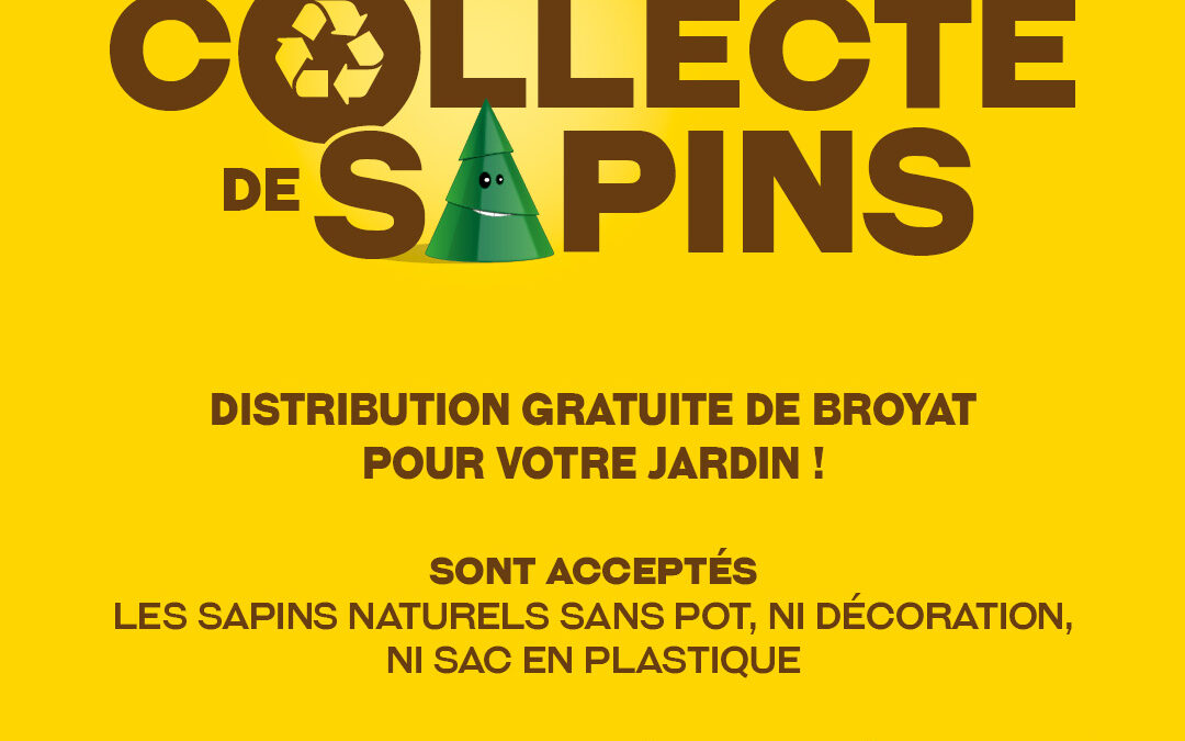 COLLECTE DE SAPINS
