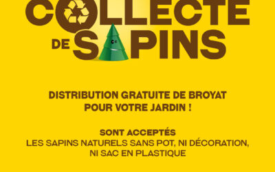 COLLECTE DE SAPINS
