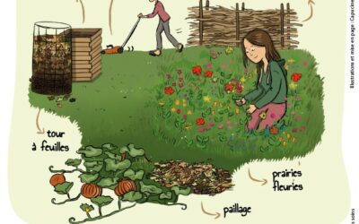 VALORISATION DES VEGETAUX