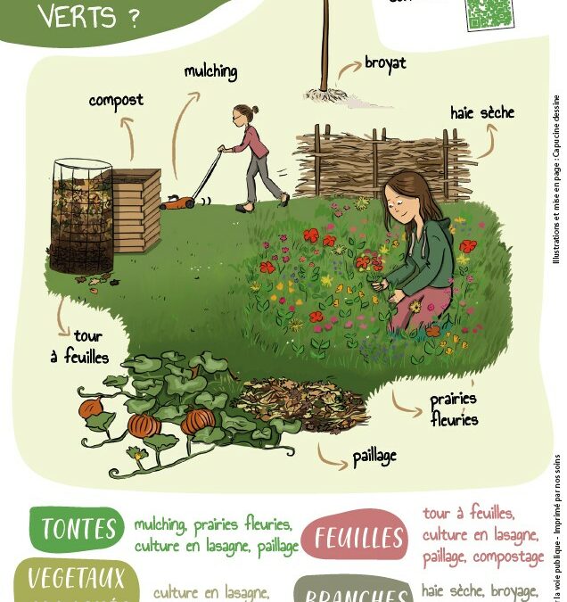 VALORISATION DES VEGETAUX